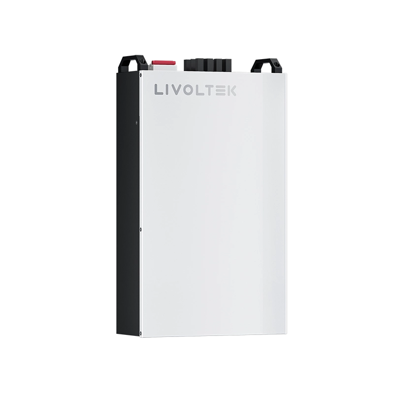 PIN LƯU TRỮ LIVOLTEK BLF-B51100R22001