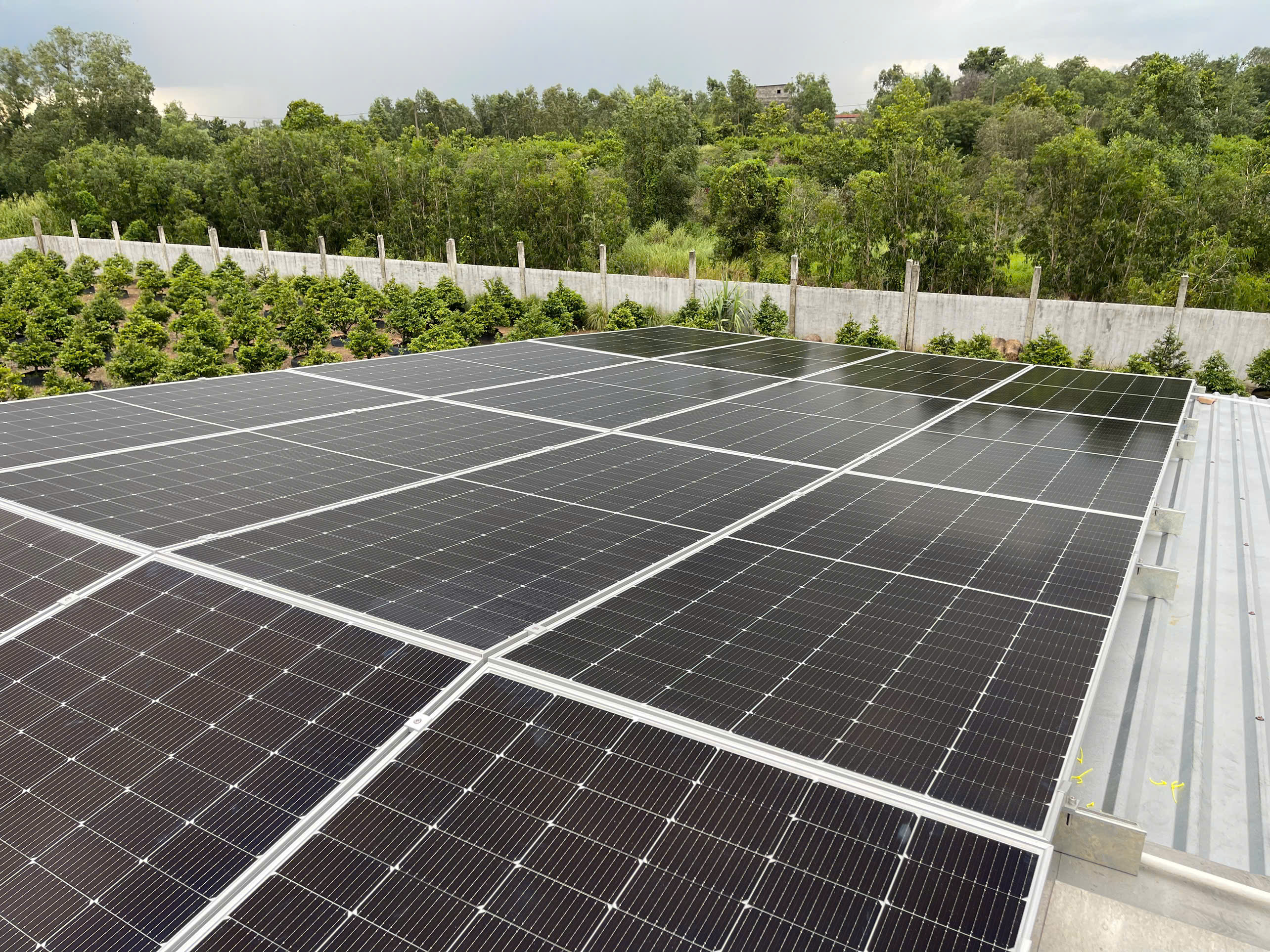 lắp điện năng lượng mặt trời Quận 11