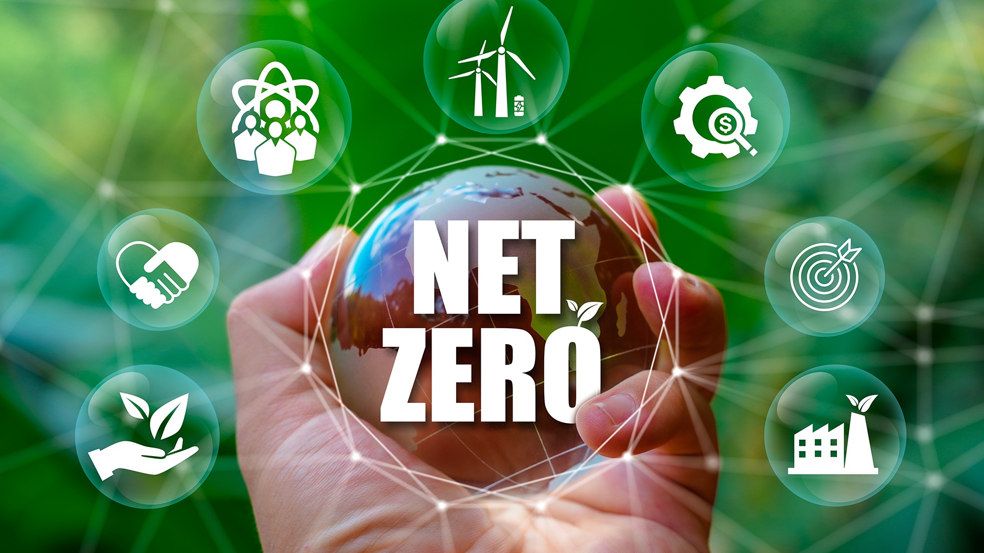 Net Zero Là Gì? Tầm Quan Trọng của Net Zero