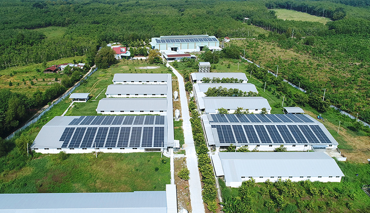 Mái nhà xưởng của bạn là tài sản. Đừng để nó chỉ che nắng mưa. Hãy biến nó thành một cỗ máy tạo ra dòng điện – và dòng tiền.