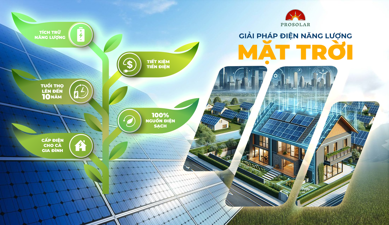 Dịch vụ chuyên nghiệp và hậu mãi tận tâm
