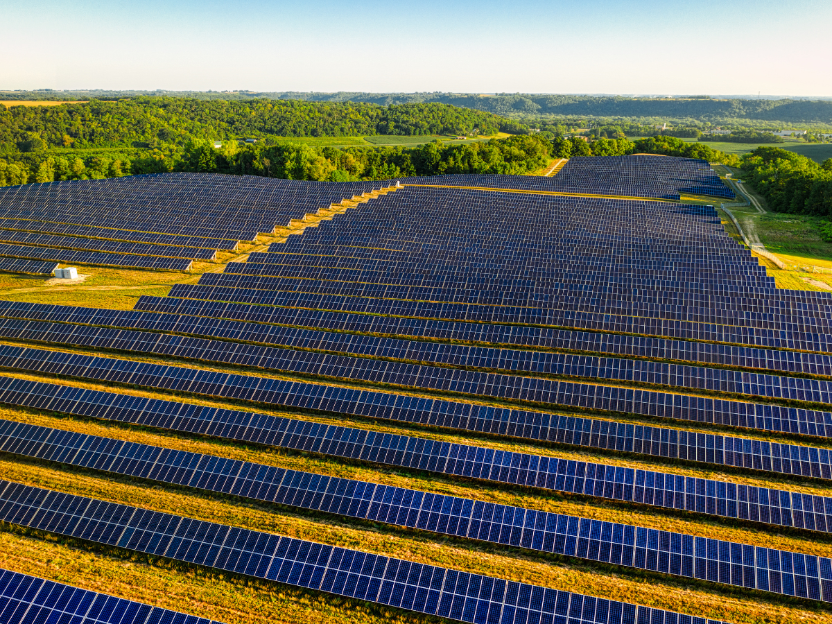 solar farm