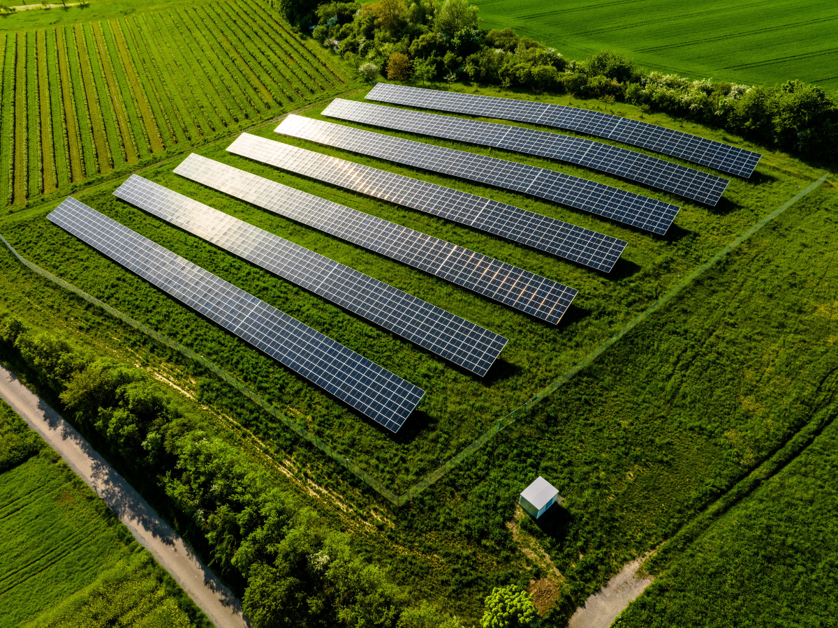 Solar Farm